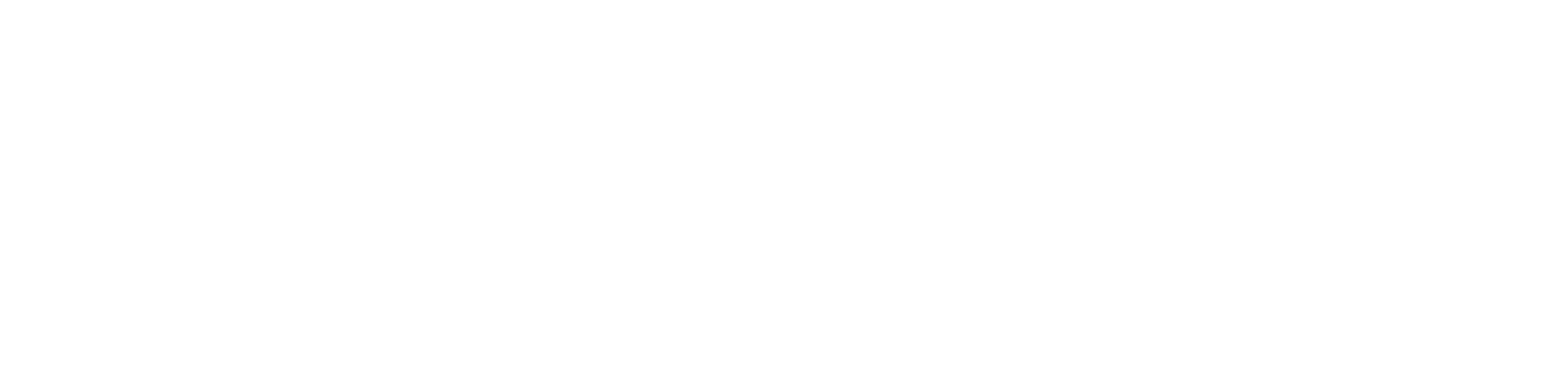 313 Logo